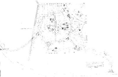Plat map
Emory Hills
Walter Burley Griffin and Marion Mahony Griffin,
architects
Wheaton, Illinois